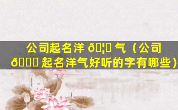 公司起名洋 🦄 气（公司 🍀 起名洋气好听的字有哪些）